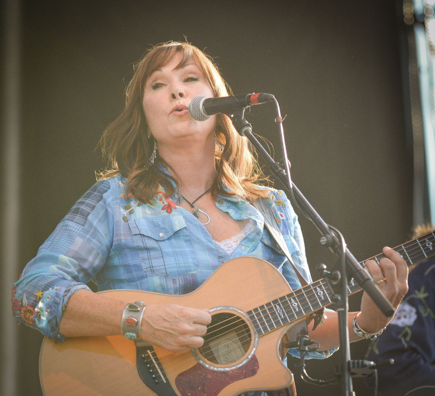 Red Ants Suzy Bogguss